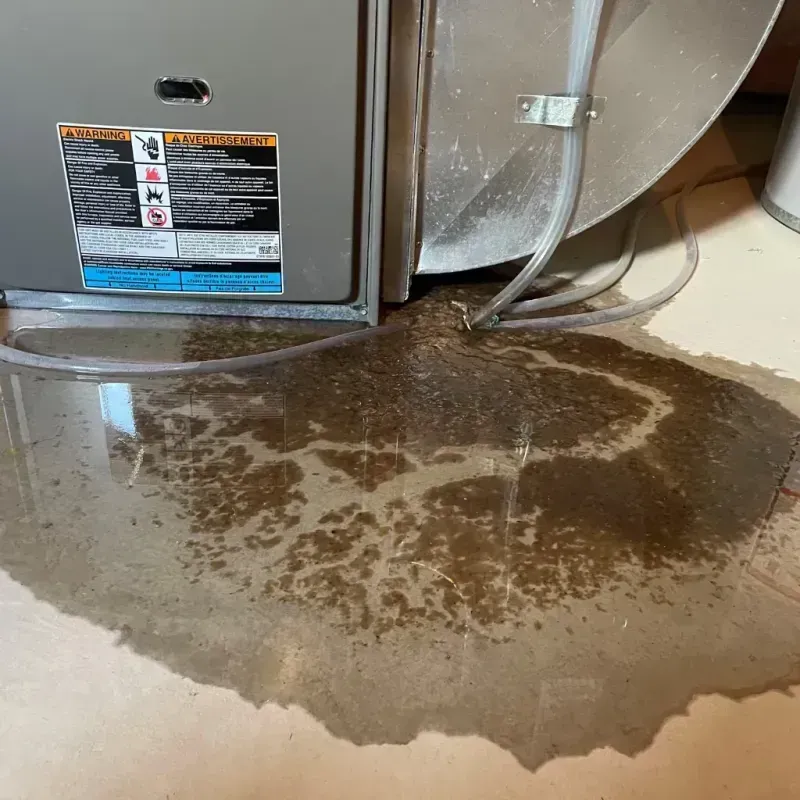 Appliance Leak Cleanup in Four Corners, MT